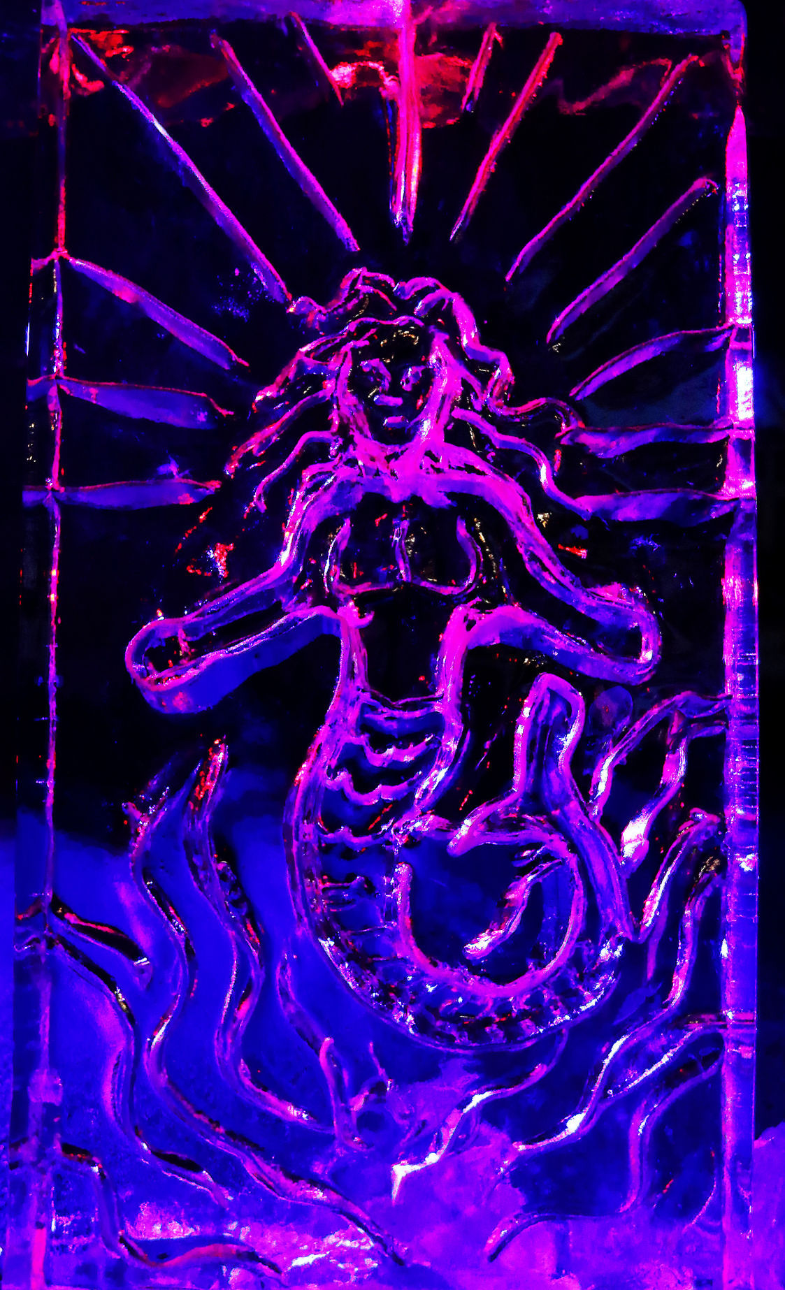 011318-Icestravaganza-012